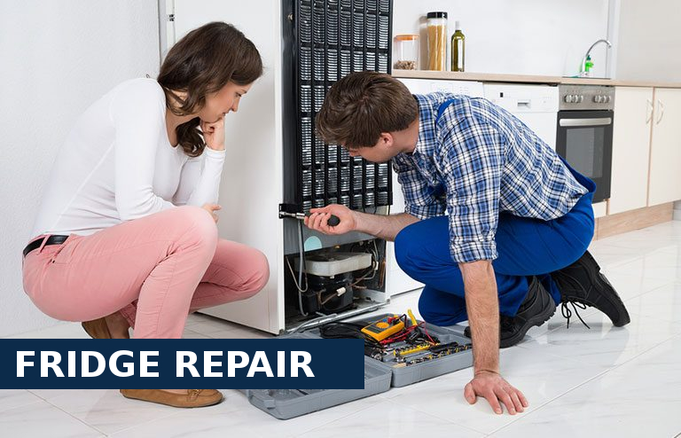 Fridge Repair Neasden